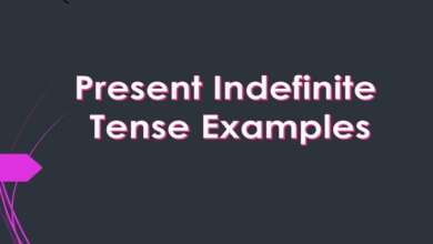 Present Indefinite Tense Examples