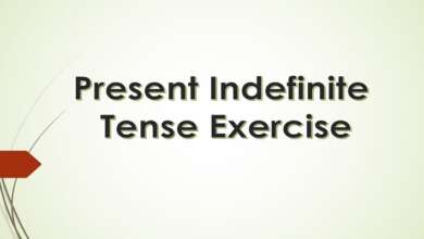 Present Indefinite Tense Exercise