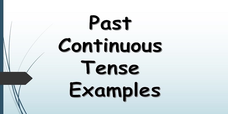 Past Continuous Tense Examples