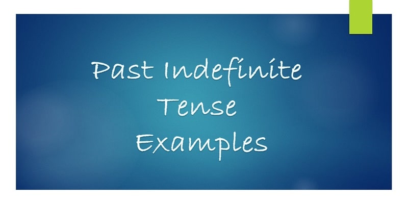 Past Indefinite Tense Examples