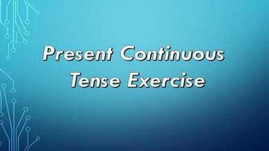Present Continuous Tense Exercise