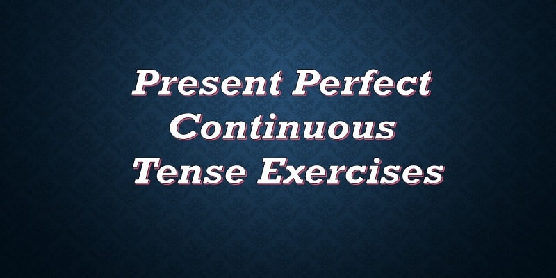 Present Perfect Continuous Tense Exercises