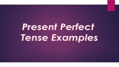 Present Perfect Tense Examples