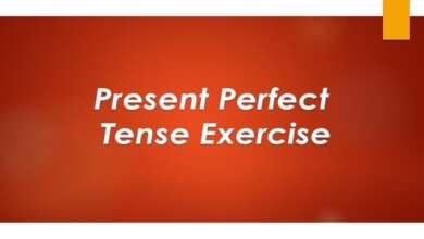 Present Perfect Tense Exercise