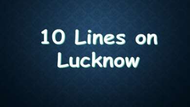 10 Lines on Lucknow