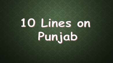 10 Lines on Punjab