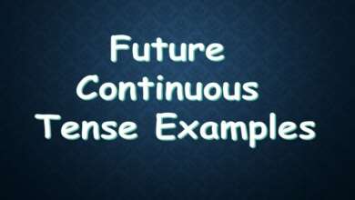 Future Continuous Tense Examples