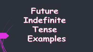 Future Indefinite Tense Examples