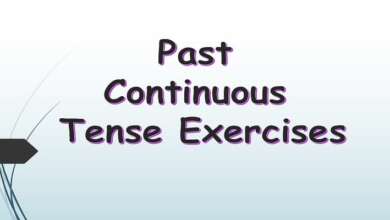 Past Continuous Tense Exercises