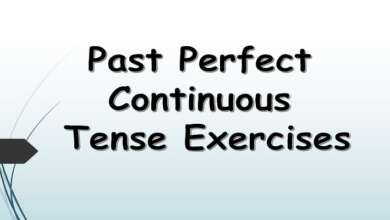 Past Perfect Continuous Tense Exercises