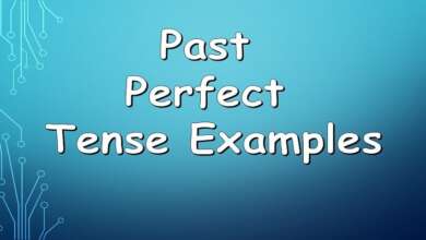 Past Perfect Tense Examples
