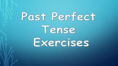 Past Perfect Tense Exercises
