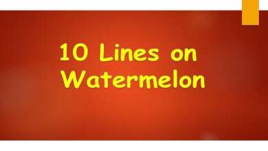 10 Lines on Watermelon