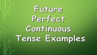 Future Perfect Continuous Tense Examples