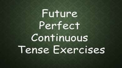 Future Perfect Continuous Tense Exercises