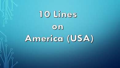 10 Lines on America