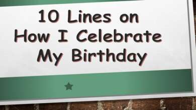 10 Lines on How I Celebrate My Birthday