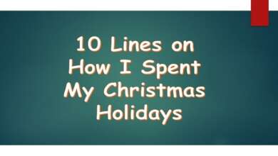 10 Lines on How I Spent My Christmas Holidays