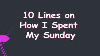 10 Lines on How I Spent My Sunday