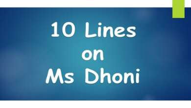 10 Lines on Ms Dhoni