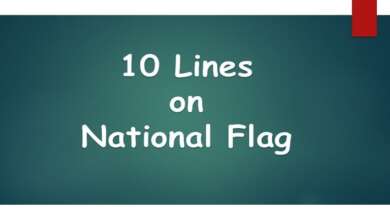 10 Lines on National Flag