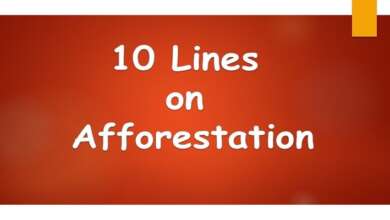 10 Lines on Afforestation