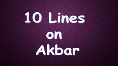 10 Lines on Akbar