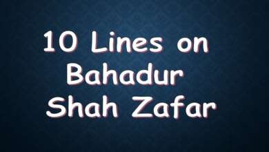 10 Lines on Bahadur Shah Zafar