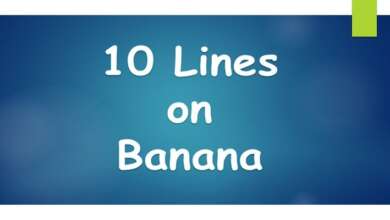 10 Lines on Banana