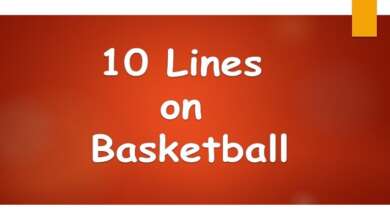 10 Lines on Basketball