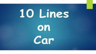10 Lines on Car