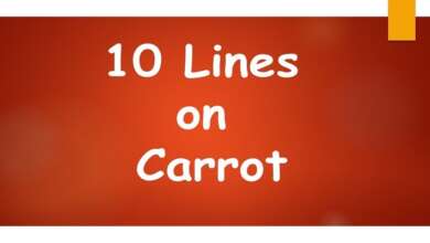 10 Lines on Carrot