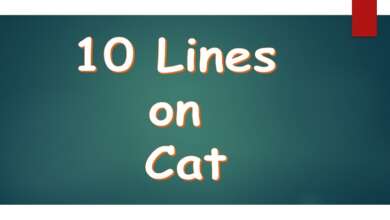 10 Lines on Cat