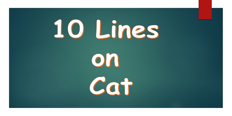 10 Lines on Cat