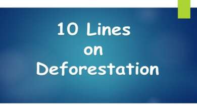 10 Lines on Deforestation
