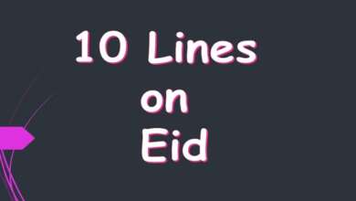10 Lines on Eid