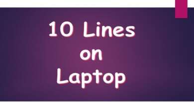 10 Lines on Laptop