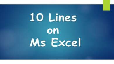 10 Lines on Ms Excel
