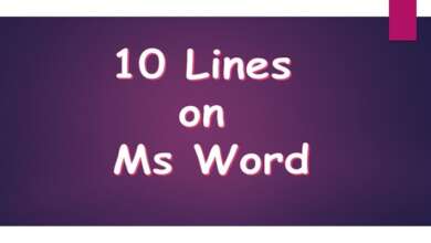 10 Lines on Ms Word
