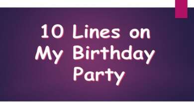 10 Lines on My Birthday Party