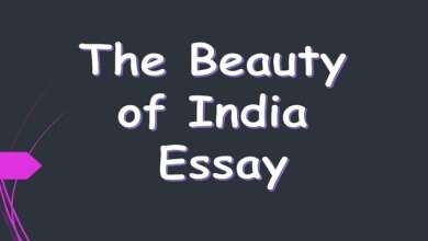 Beauty of India Essay