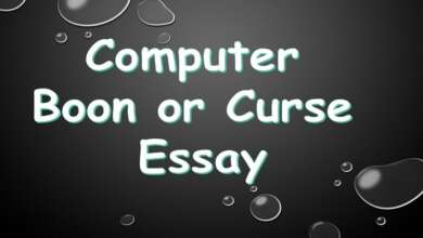 Computer Boon or Curse Essay