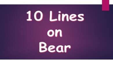 10 Lines on Bear