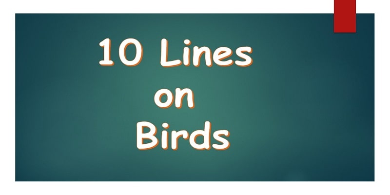 10 Lines on Birds