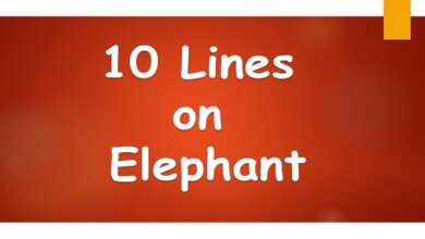10 Lines on Elephant