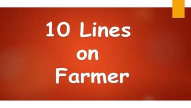 10 Lines on Farmer
