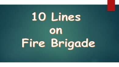 10 Lines on Fire Brigade