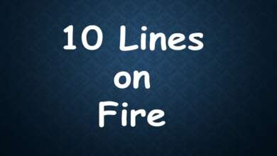 10 Lines on Fire
