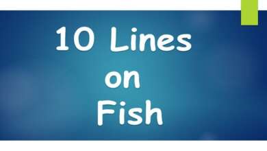 10 Lines on Fish