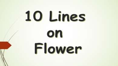 10 Lines on Flower